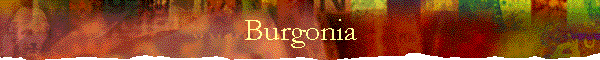 Burgonia