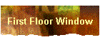 First Floor Window