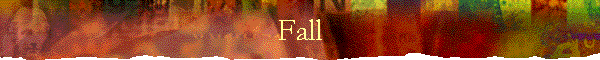 Fall