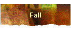 Fall