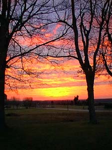 Feb06983a.JPG (24534 bytes)