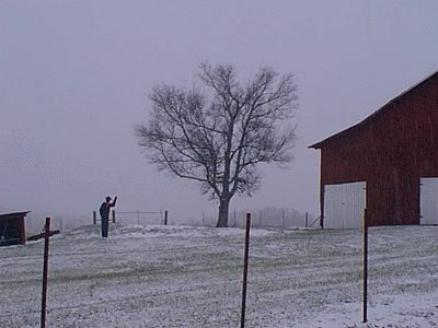 burg04.gif (74191 bytes)