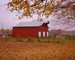 fallbarn.jpg (23431 bytes)