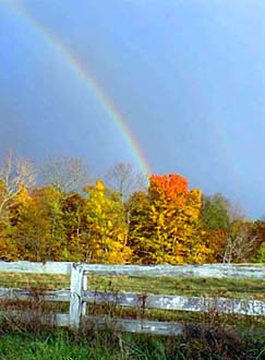 rainbow.jpg (20663 bytes)